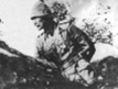 Çanakkale Muharebelerinde, 1915