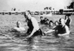 Florya'da denizde, 7 Temmuz 1935